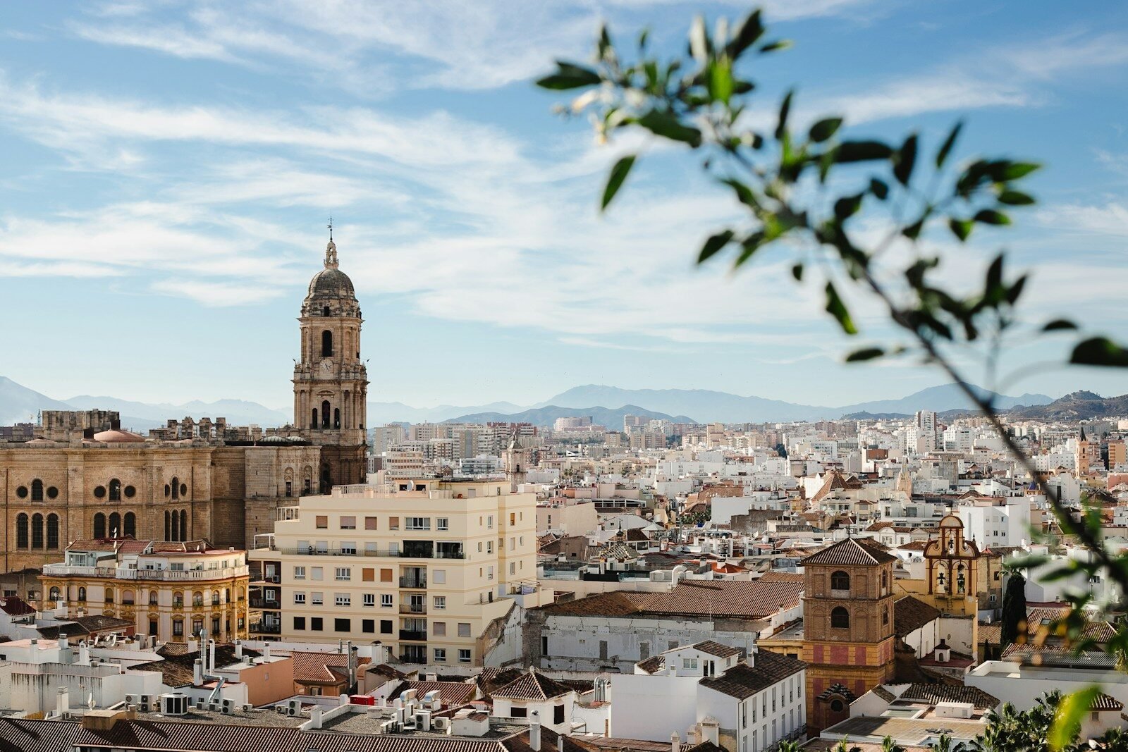 a view of a city with tall buildings and a clock tower